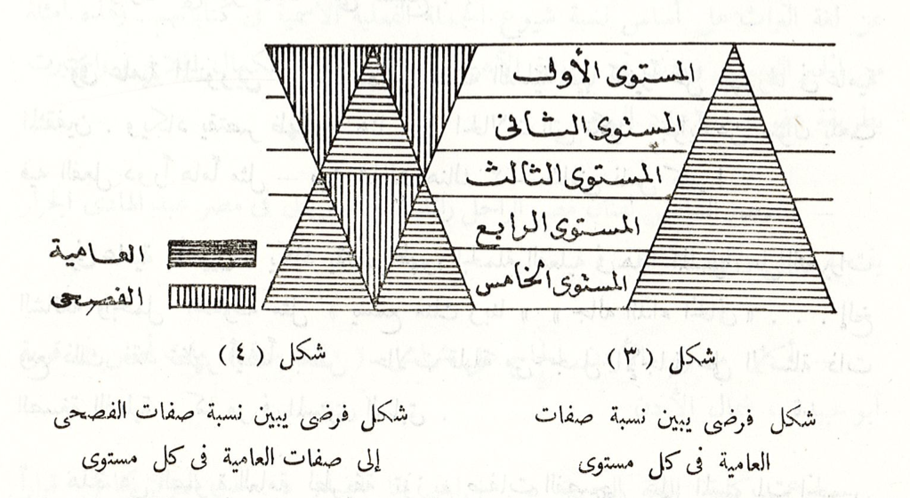 Standard and vernacular features